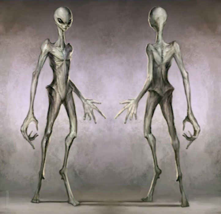 The tall Greys