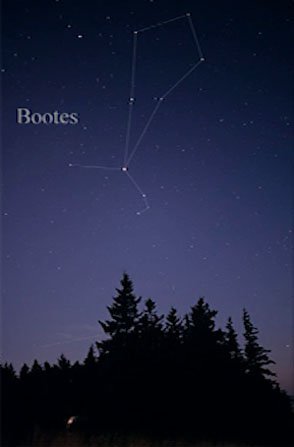 Bootes Star Constellation