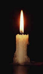 Vela