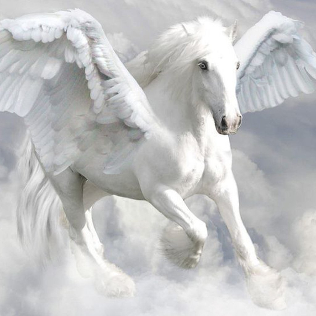 Pegaso